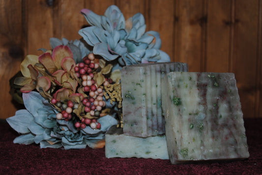 Cranberry & Blue Spruce Mistletoe